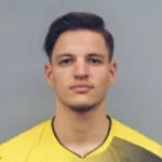 A. Pjetrovic