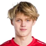 A. Muižnieks