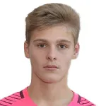D. Vincelj