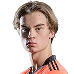 E. Henriksson Photo