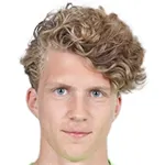F. Dinkel