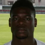 J. Torunarigha