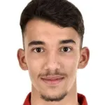 K. Bertelli