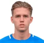 L. Holtkamp