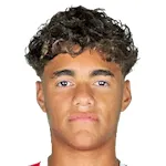 Luis Meneses