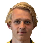 M. Petterson