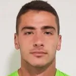 N. Ristović