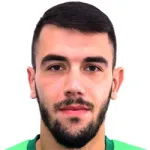 N. Vujanac