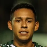 R. Vargas