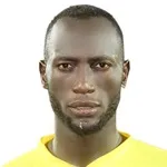 Salaheldin Nemer