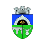 Anenii Noi Logo