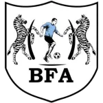 Black Lions logo
