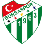Bursaspor U19 Logo