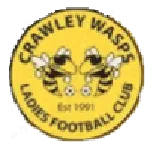 Crawley Wasps W