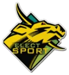 Elect-Sport logo