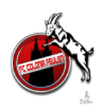 Feulen Logo