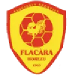 Flacăra Horezu