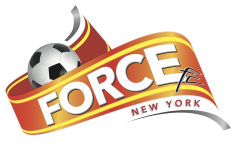 Force New York logo