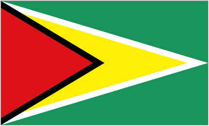 Guyana U20 Logo