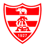Linense U20 logo