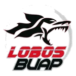 Lobos Buap