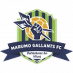 Marumo Gallants U23 Logo