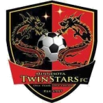 Minnesota Twin Stars logo