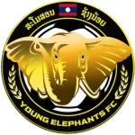 Young Elephant W