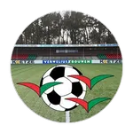 Zuidvogels