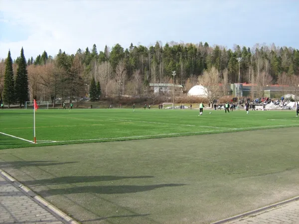 Kisapuiston tekonurmi Stade