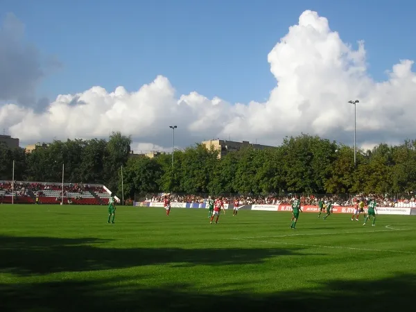 Spartakovets imeni N.P. Starostina Stade