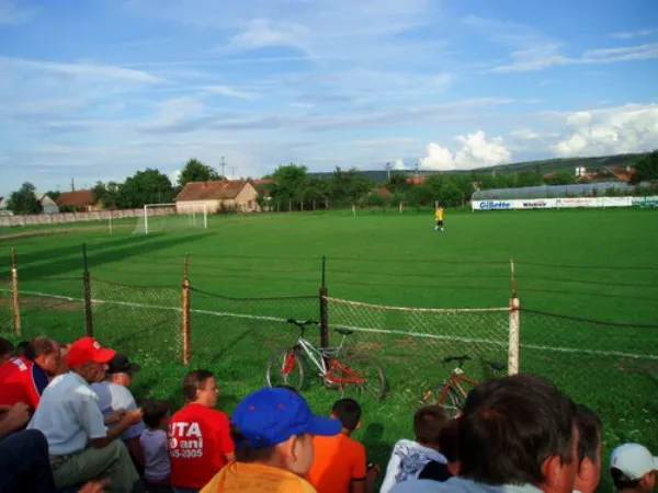 Stadionul Şoimii Stade