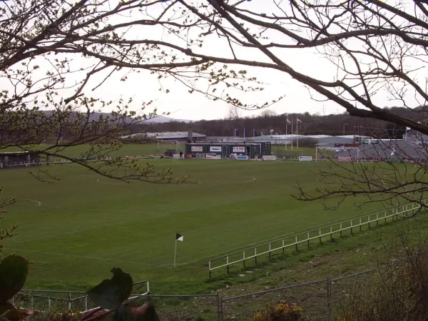 Stafford Common