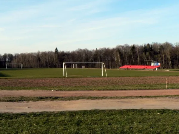VDU Valdo Adamkaus stadionas